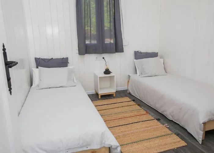 De Vendaval * Malpica