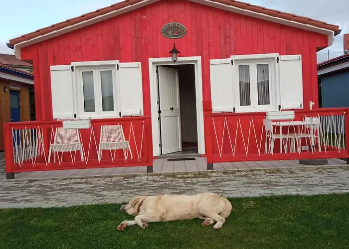 De Vendaval Holiday park *